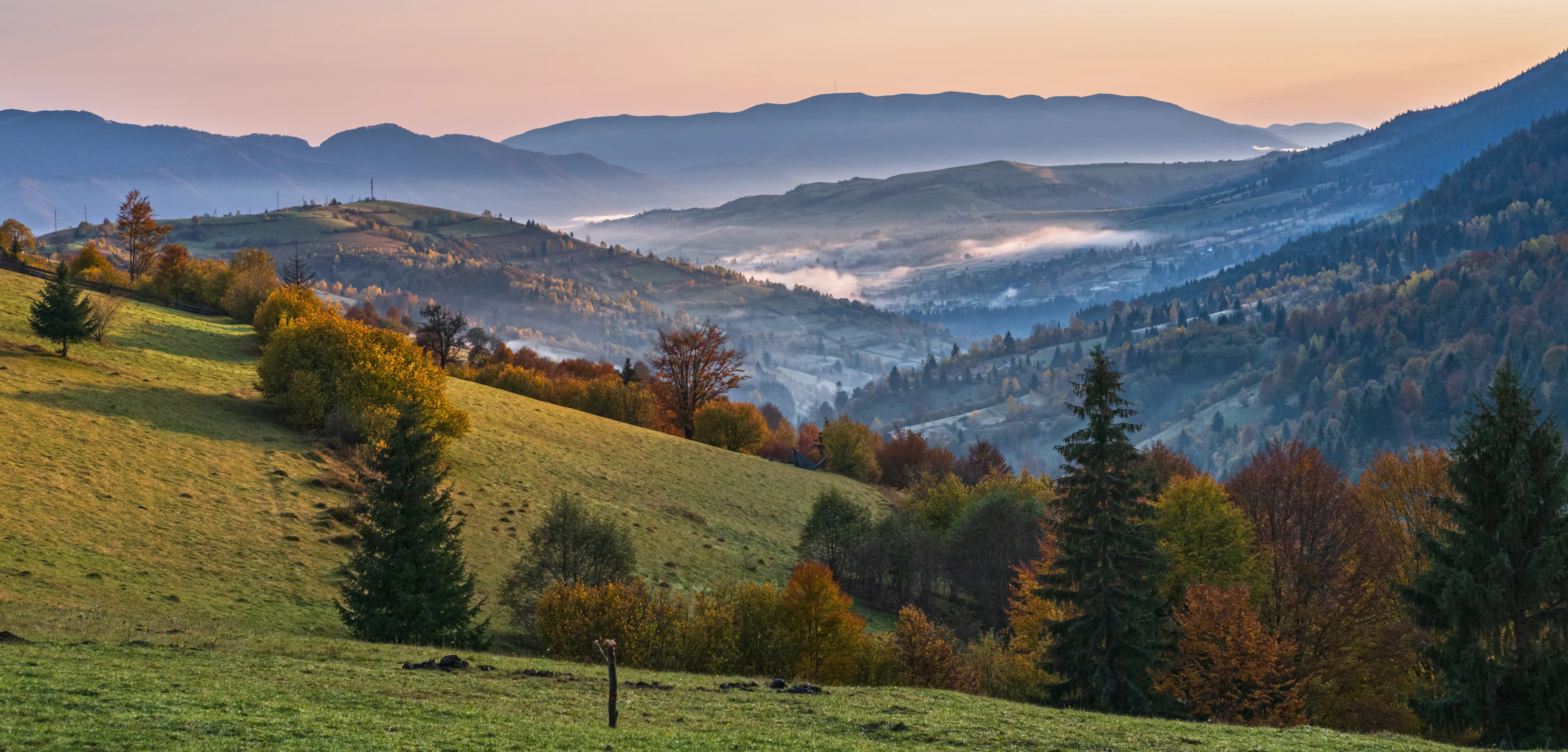 foggy_early_img